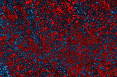 Soyut renk dokusu, grunge arkaplanı, boşluk duvar kağıdını kopyala