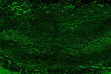 soyut yeşil doku arkaplanı, boşluk duvar kağıdını kopyala