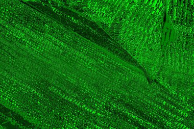 soyut yeşil arkaplan, boşluk duvar kağıdını kopyala