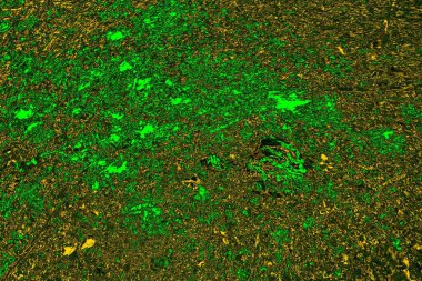 Soyut renk dokusu, grunge arkaplanı, boşluk duvar kağıdını kopyala