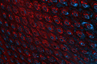 soyut mavi ve kırmızı doku, grunge arkaplan, boşluk duvar kağıdını kopyala