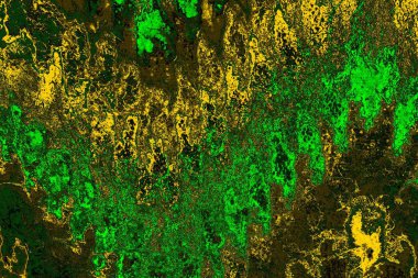 soyut yeşil doku arkaplanı, boşluk duvar kağıdını kopyala