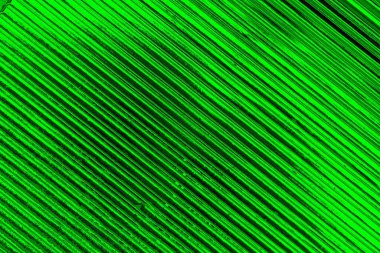 soyut yeşil doku arkaplanı, boşluk duvar kağıdını kopyala