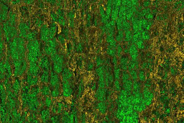 Soyut renk dokusu, grunge arkaplanı, boşluk duvar kağıdını kopyala