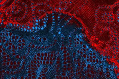 Soyut renk dokusu, grunge arkaplanı, boşluk duvar kağıdını kopyala