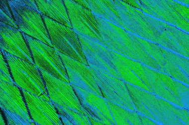 Boşluk duvar kağıdını, grunge arkaplanını, soyut renkli doku arkaplanını kopyala