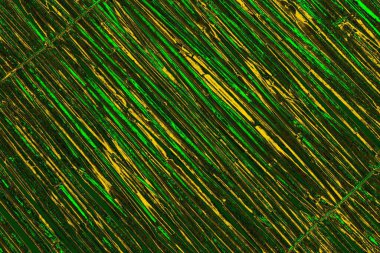 soyut yeşil doku arkaplanı, boşluk duvar kağıdını kopyala