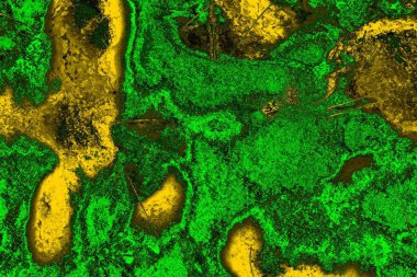 Soyut renk dokusu, grunge arkaplanı, boşluk duvar kağıdını kopyala