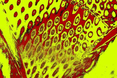 Soyut pejmürde bir doku. Asit grunge arkaplanı, metin veya reklamınız için boşluk resmini kopyala