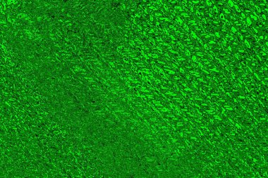 yeşil doku arkaplanı, boşluk duvar kağıdını kopyala