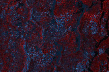 Soyut renk dokusu, grunge arkaplanı, boşluk duvar kağıdını kopyala