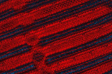 soyut mavi ve kırmızı doku, grunge arkaplan, boşluk duvar kağıdını kopyala