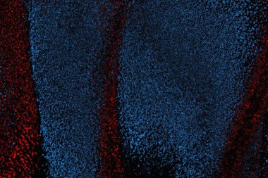 soyut mavi ve kırmızı doku, grunge arkaplan, boşluk duvar kağıdını kopyala