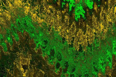 soyut yeşil doku arkaplanı, boşluk duvar kağıdını kopyala