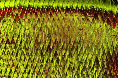  grunge arkaplanı, boşluk duvar kağıdını kopyala, soyut renkli doku arkaplanı