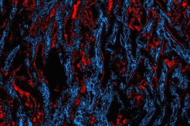 soyut mavi ve kırmızı doku, grunge arkaplan, boşluk duvar kağıdını kopyala