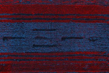 Soyut renk dokusu, grunge arkaplanı, boşluk duvar kağıdını kopyala