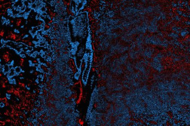 soyut mavi ve kırmızı doku, grunge arkaplan, boşluk duvar kağıdını kopyala