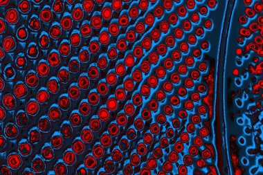 soyut mavi ve kırmızı doku, grunge arkaplan, boşluk duvar kağıdını kopyala