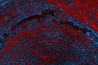 soyut doku, grunge arkaplan, boşluk duvar kağıdını kopyala   