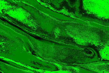 soyut yeşil doku arkaplanı, boşluk duvar kağıdını kopyala