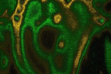 soyut yeşil doku arkaplanı, boşluk duvar kağıdını kopyala