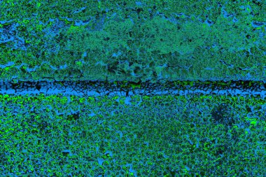 Boşluk duvar kağıdını, grunge arkaplanını, soyut renkli doku arkaplanını kopyala