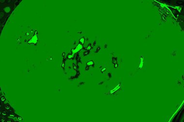 soyut yeşil doku arkaplanı, boşluk duvar kağıdını kopyala