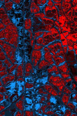 soyut doku, grunge arkaplan, boşluk duvar kağıdını kopyala   