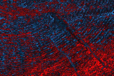 soyut doku, grunge arkaplan, boşluk duvar kağıdını kopyala   