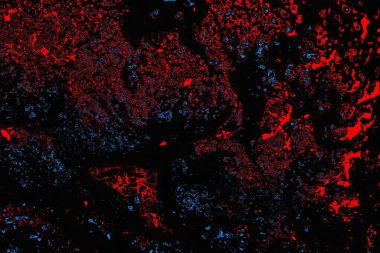 soyut mavi ve kırmızı doku, grunge arkaplan, boşluk duvar kağıdını kopyala