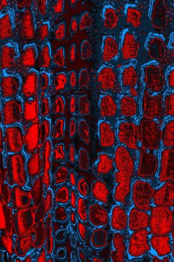 Soyut renk dokusu, grunge arkaplanı, boşluk duvar kağıdını kopyala