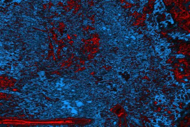 soyut mavi ve kırmızı doku, grunge arkaplan, boşluk duvar kağıdını kopyala