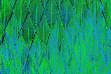 Boşluk duvar kağıdını, grunge arkaplanını, soyut renkli doku arkaplanını kopyala