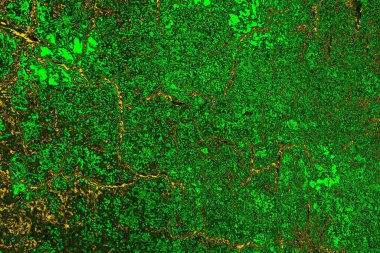 Soyut renk dokusu, grunge arkaplanı, boşluk duvar kağıdını kopyala