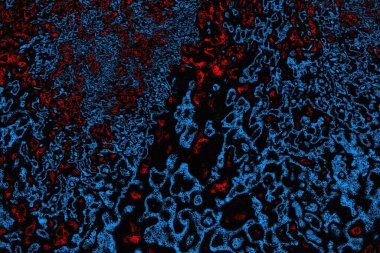 soyut mavi ve kırmızı doku, grunge arkaplan, boşluk duvar kağıdını kopyala