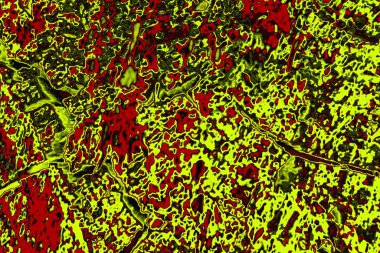  grunge arkaplanı, boşluk duvar kağıdını kopyala, soyut renkli doku arkaplanı