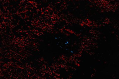 parlak kırmızı doku arkaplanı, boşluk duvar kağıdını kopyala