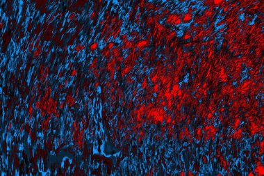 soyut mavi ve kırmızı doku, grunge arkaplan, boşluk duvar kağıdını kopyala