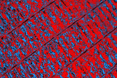 Renkli doku arkaplanı, boşluk duvar kağıdını kopyala