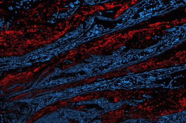 soyut mavi ve kırmızı doku, grunge arkaplan, boşluk duvar kağıdını kopyala