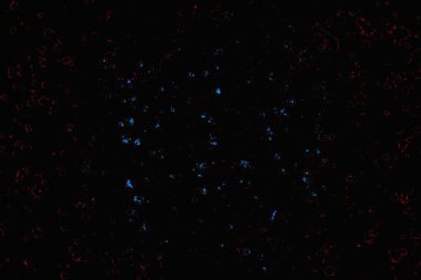 soyut mavi ve kırmızı doku, grunge arkaplan, boşluk duvar kağıdını kopyala