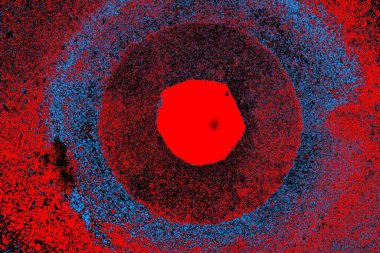 parlak kırmızı doku arkaplanı, boşluk duvar kağıdını kopyala