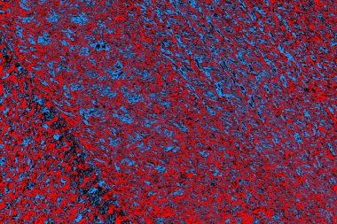 Renkli doku arkaplanı, boşluk duvar kağıdını kopyala