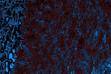 soyut mavi ve kırmızı doku, grunge arkaplan, boşluk duvar kağıdını kopyala