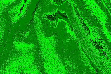 yeşil doku arkaplanı, boşluk duvar kağıdını kopyala