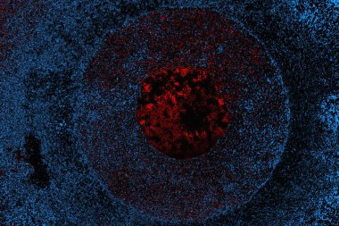 soyut mavi ve kırmızı doku, grunge arkaplan, boşluk duvar kağıdını kopyala