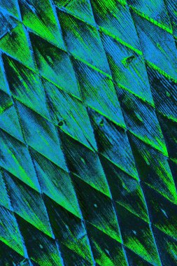 Boşluk duvar kağıdını, grunge arkaplanını, soyut renkli doku arkaplanını kopyala