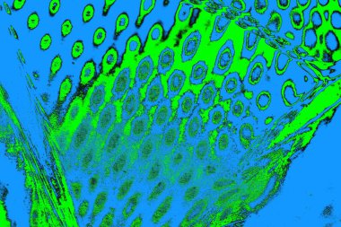 soyut yeşil doku, arkaplan, duvar kağıdını kopyala