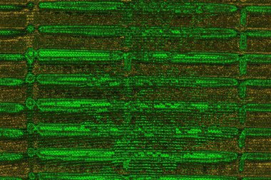 Soyut renk dokusu, grunge arkaplanı, boşluk duvar kağıdını kopyala